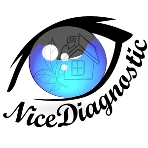 nicediagnostic, un contrôleur technique à Nice